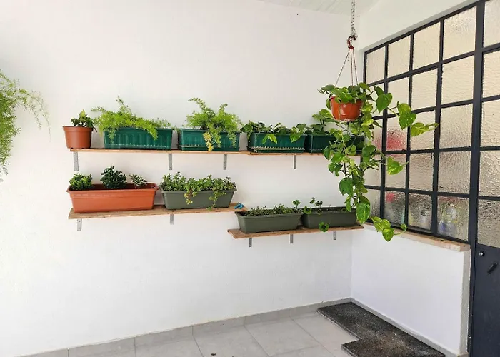 度假居 Belverde With Pool